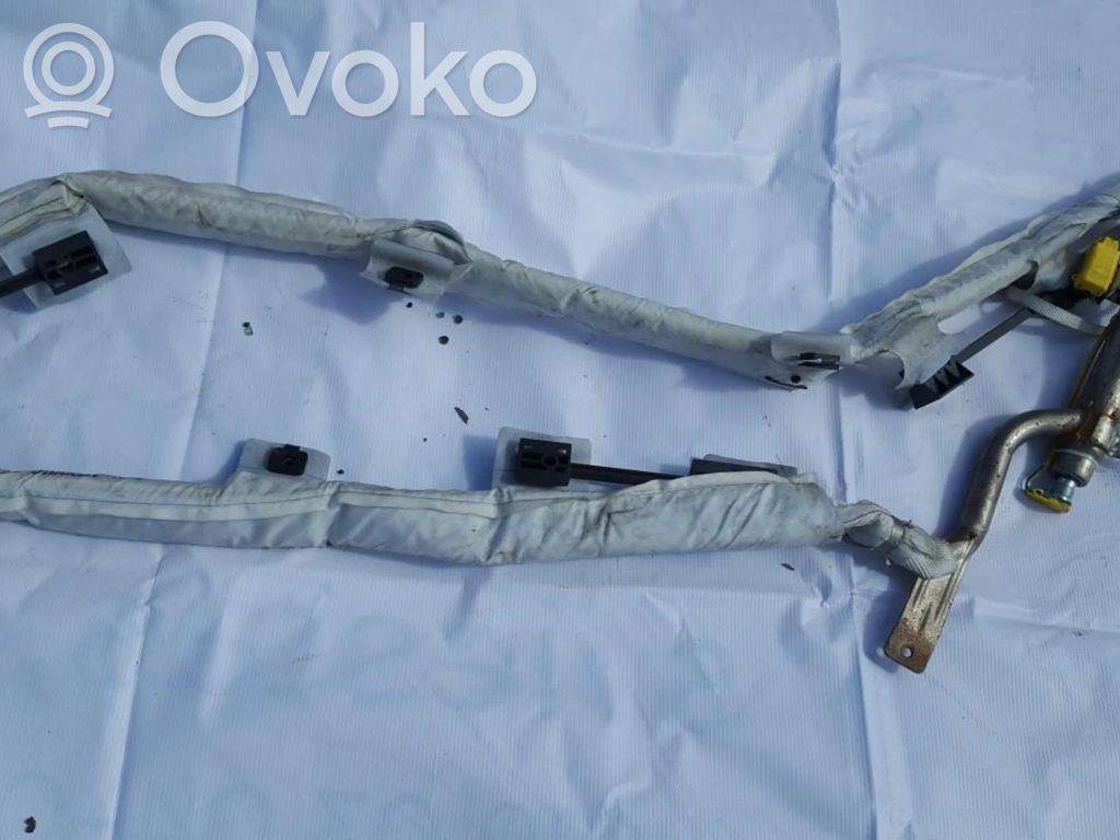 Ford Galaxy Airbag del techo 