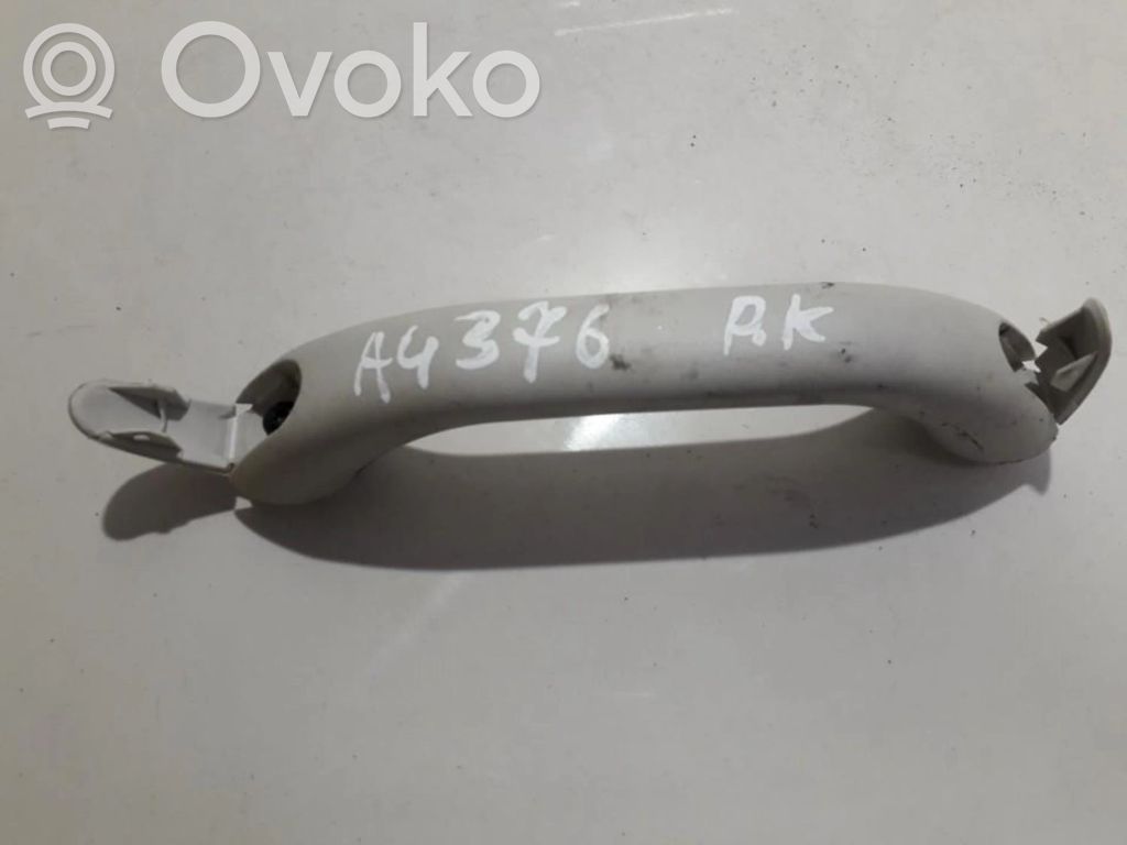 Asidero interior delantero   100013039,100013039