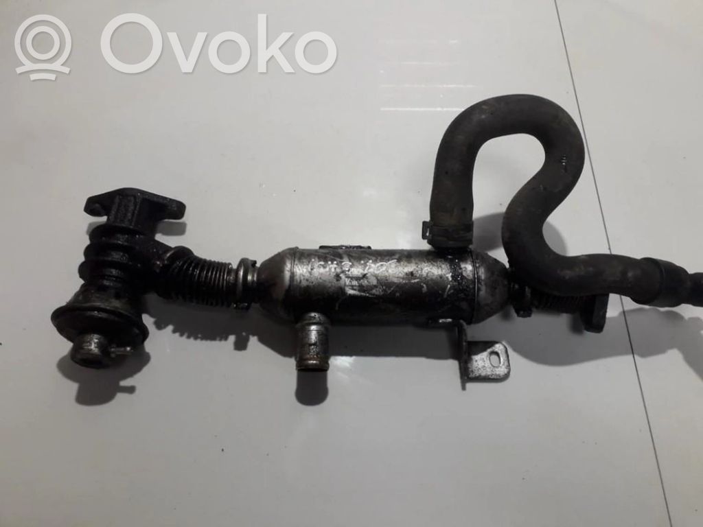 Peugeot 307 Răcitor supapă EGR 