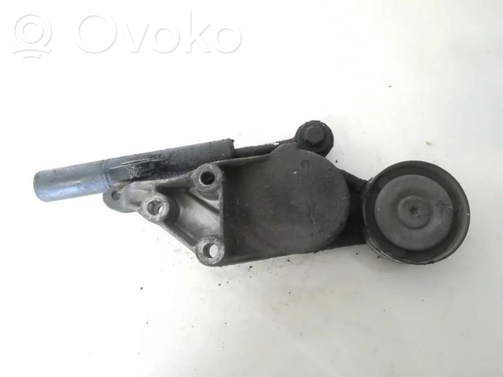 Tendicinghia generatore/alternatore   038903315C,038903315C
