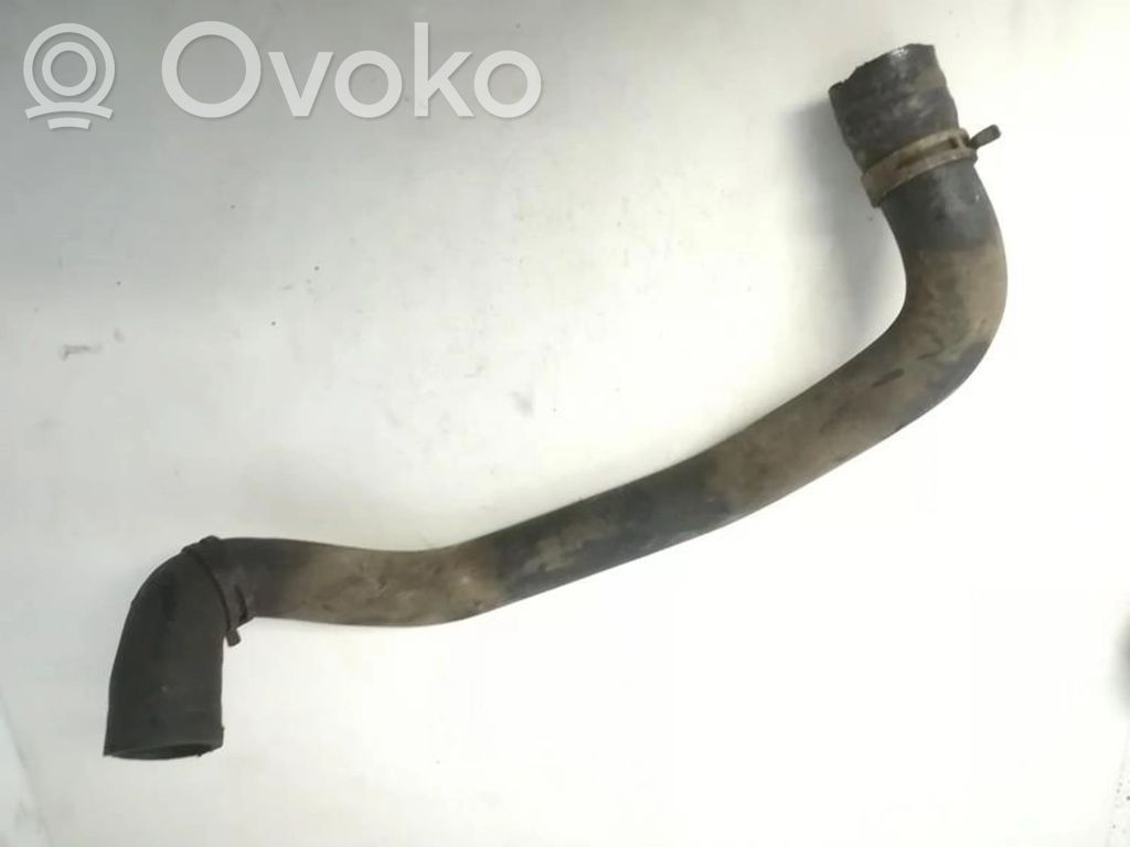 Ford Focus Przewód / Wąż chłodnicy 