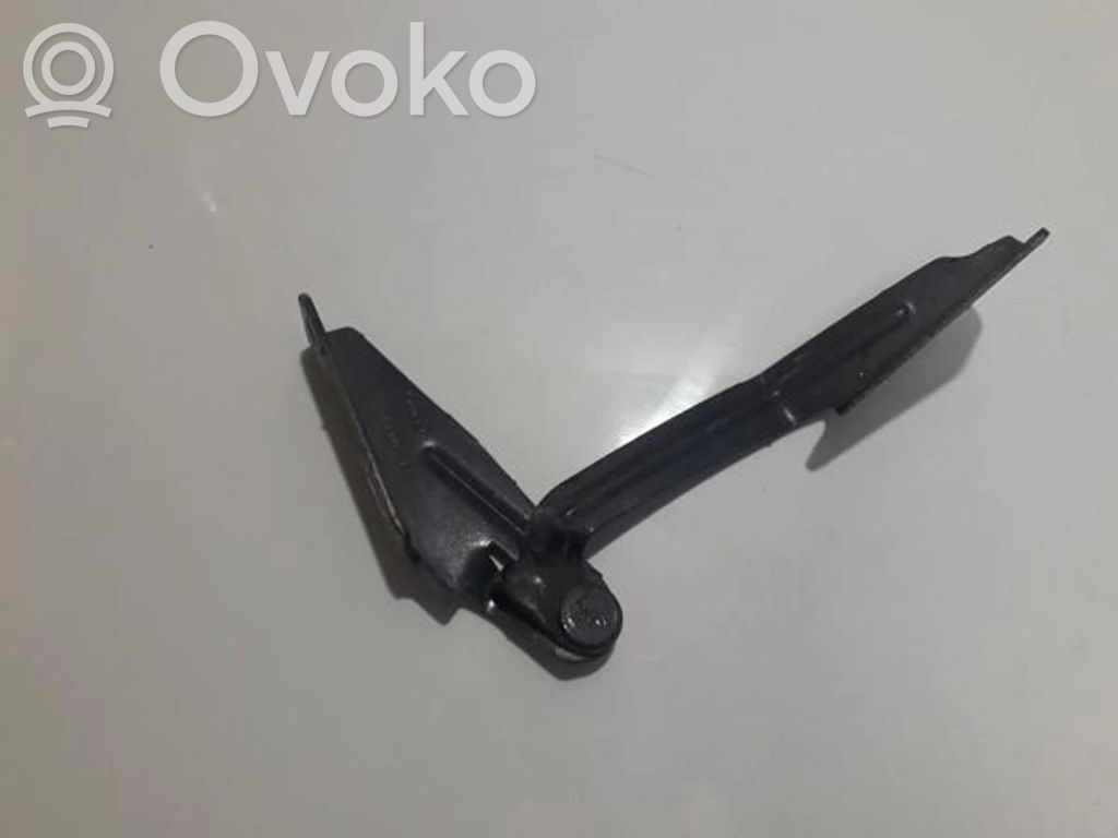Cerniere del vano motore/cofano   XS4116800AE,XS4116800AE,XS4116800AE,XS4116800AE