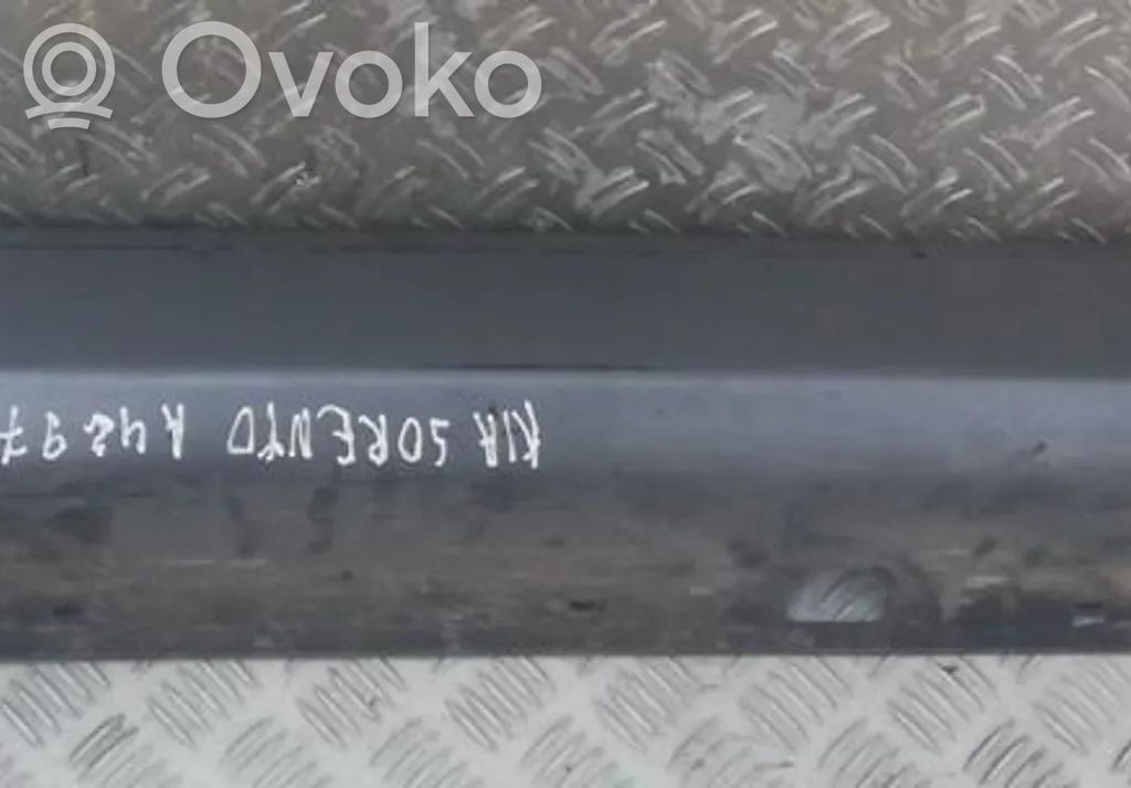 KIA Sorento Sottoporta