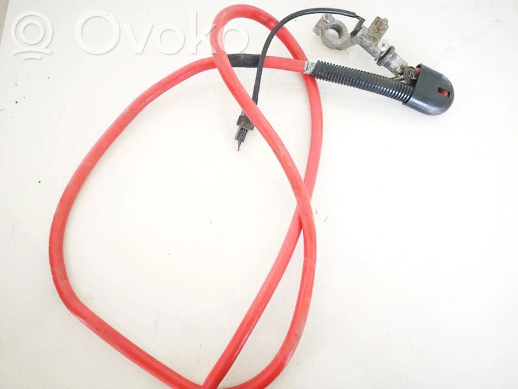 Other wiring loom