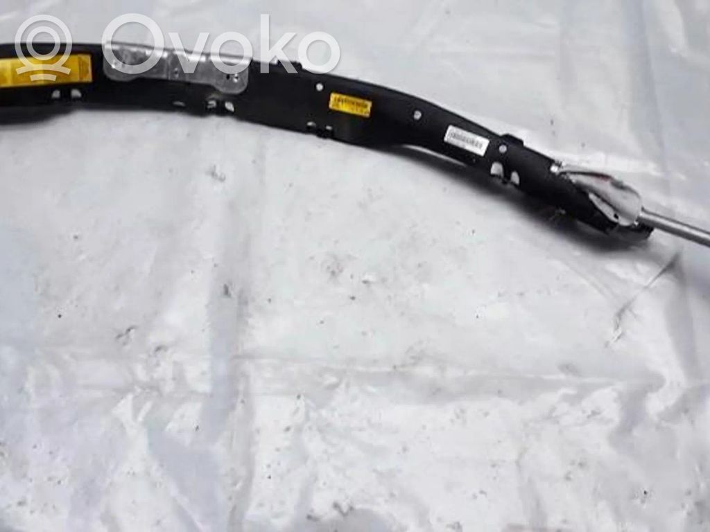 Airbag del techo   13148050,13148050