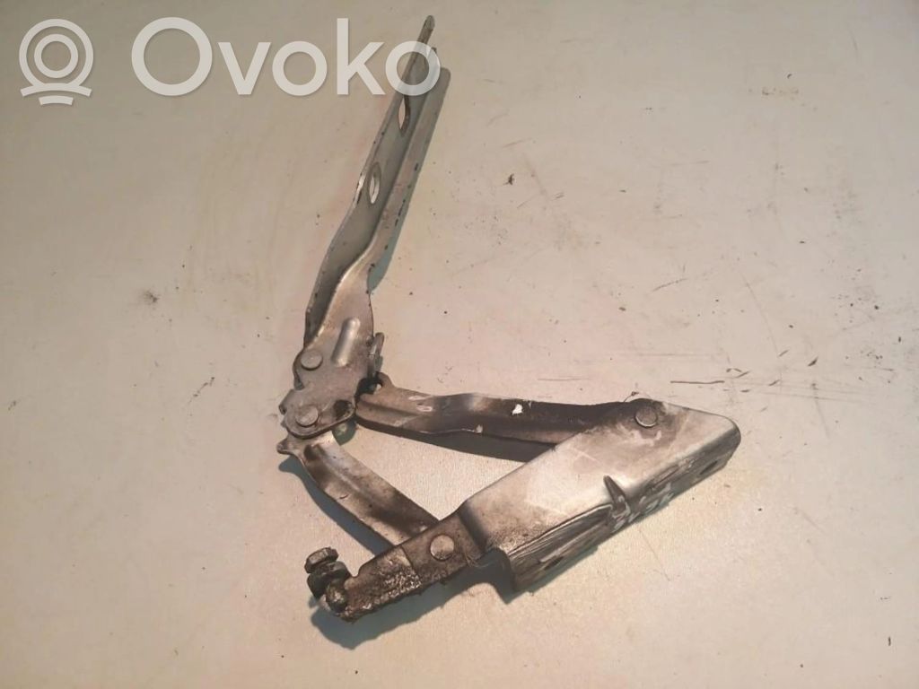 Volkswagen Golf V Balamale capotă 