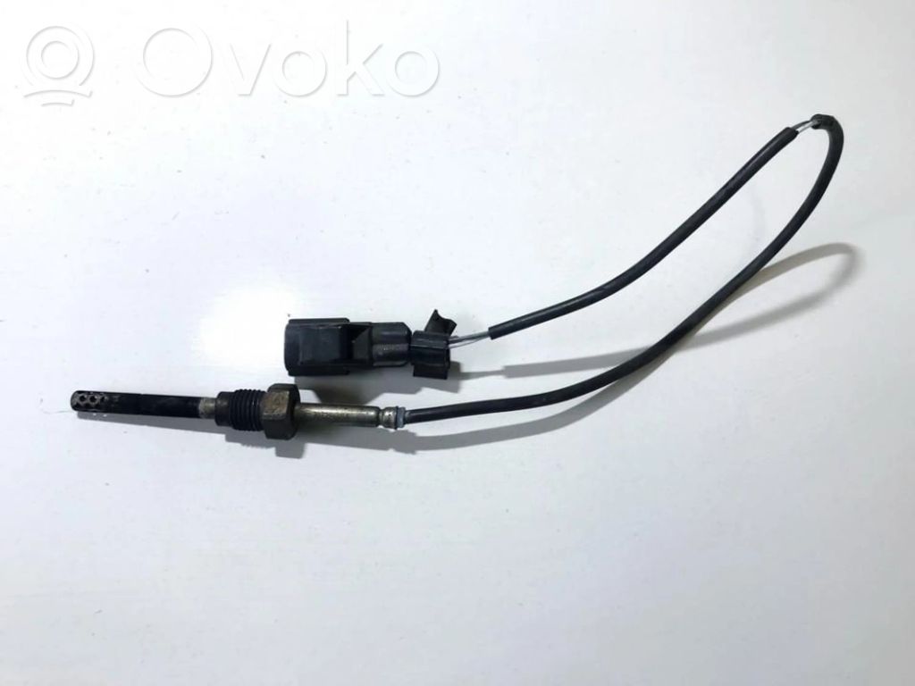 Abgastemperatursensor   30729648,30729648