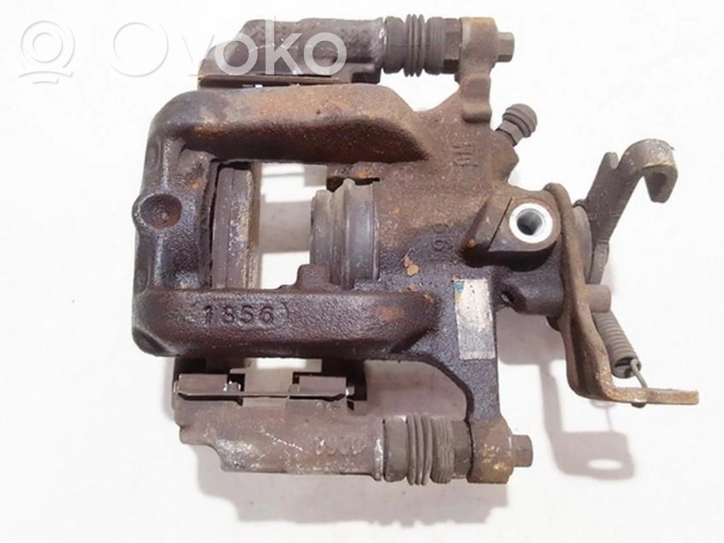 Takajarrusatula   42359085,42359085