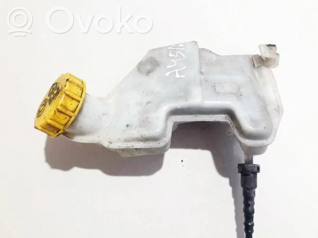 Ford Fusion Serbatoio di compensazione del liquido del freno 