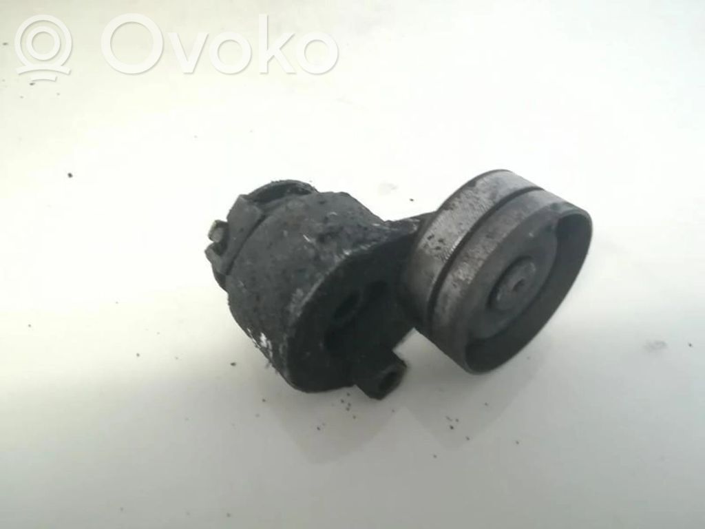 Renault Laguna II Tendicinghia generatore/alternatore 