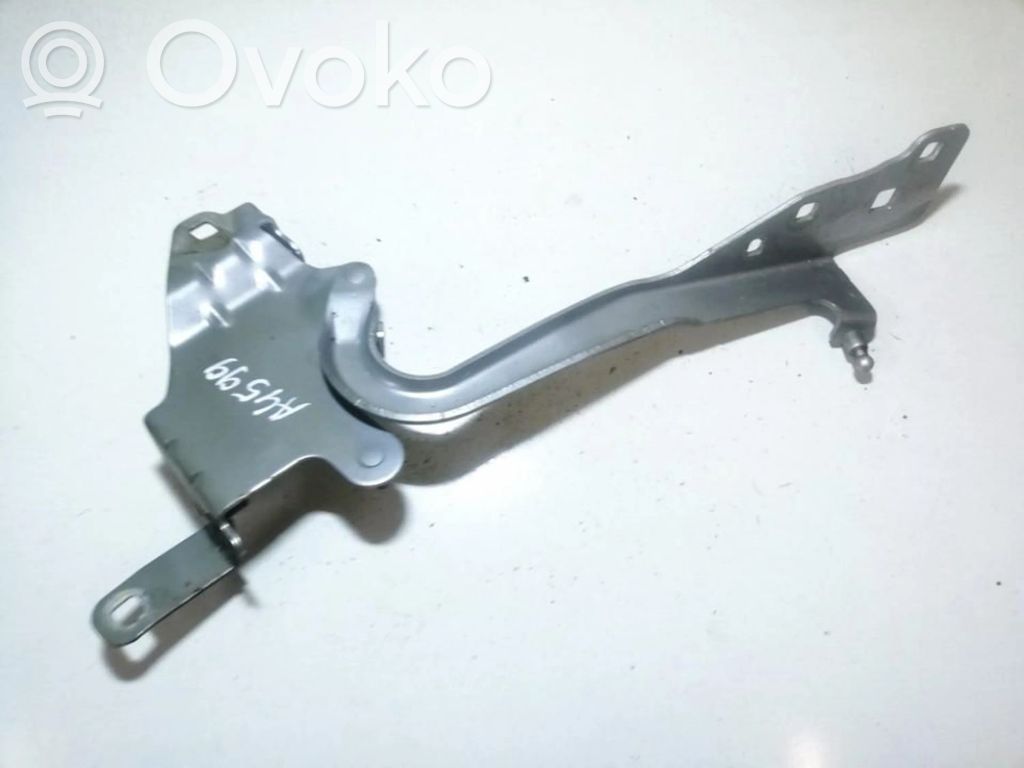 Renault Scenic III -  Grand scenic III Cerniere del vano motore/cofano 