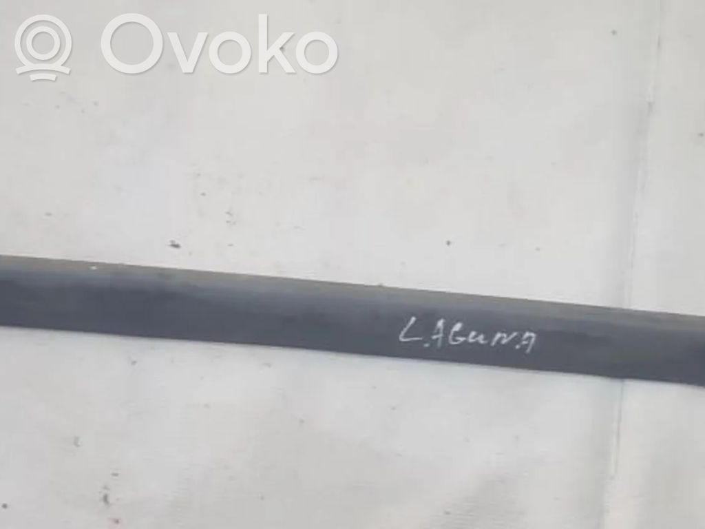 Renault Laguna I Rivestimento della portiera anteriore (modanatura)
