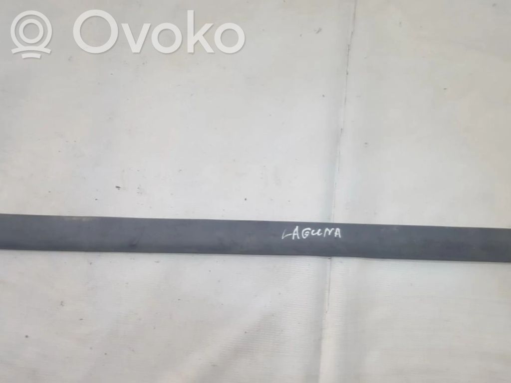 Renault Laguna I Rivestimento della portiera anteriore (modanatura) 