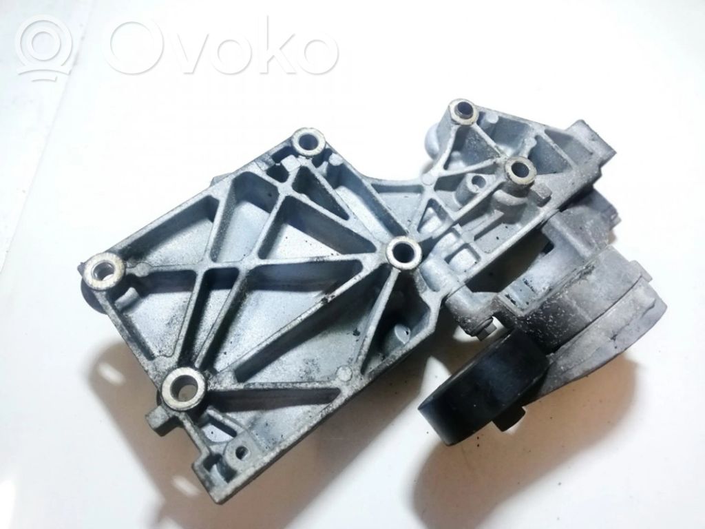Volkswagen PASSAT B6 Tendicinghia generatore/alternatore