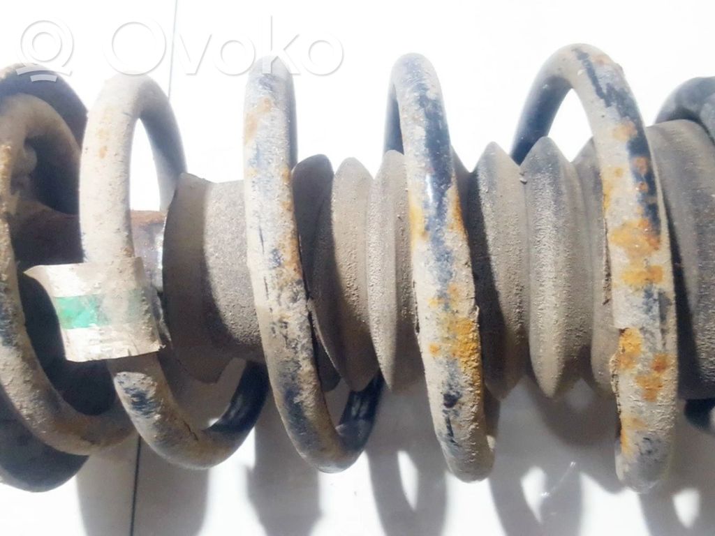 Front coil spring   5062310,5062310