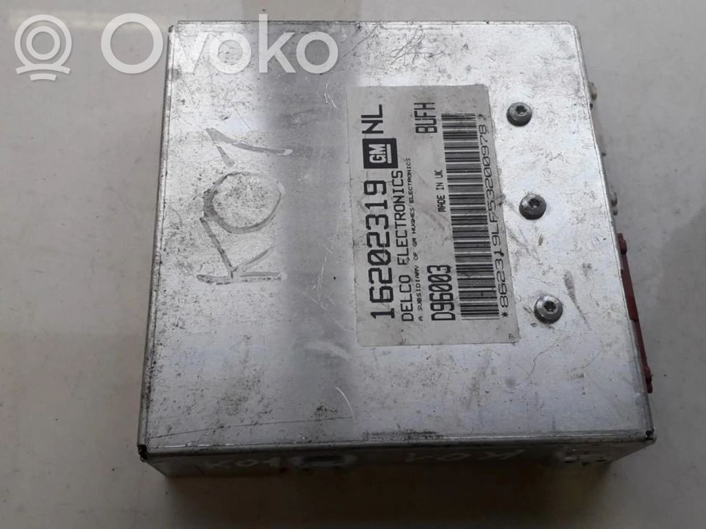Centralina/modulo del motore   16202319,D96003,16202319,D96003