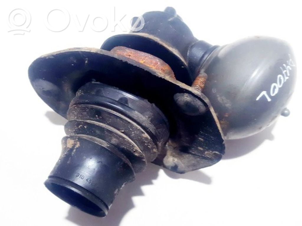 Coil spring mount
