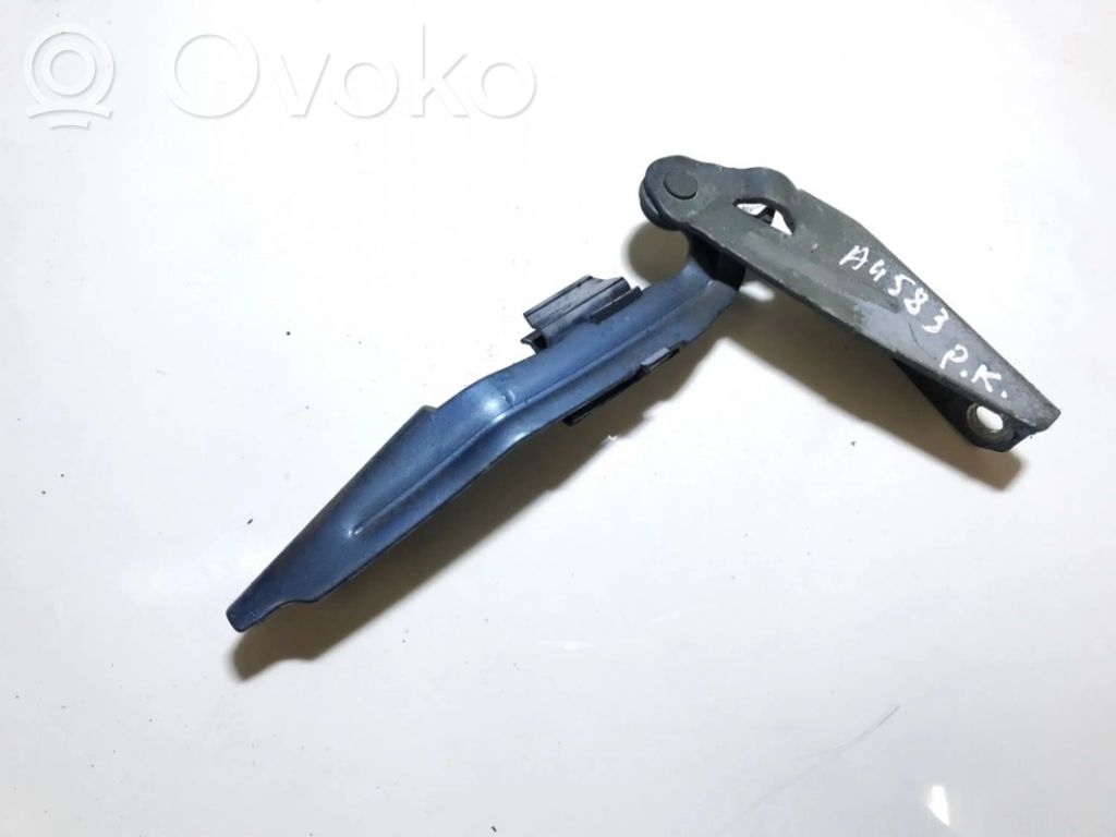Cerniere del vano motore/cofano   XS4116801AF,XS4116801AF,XS4116801AF,XS4116801AF