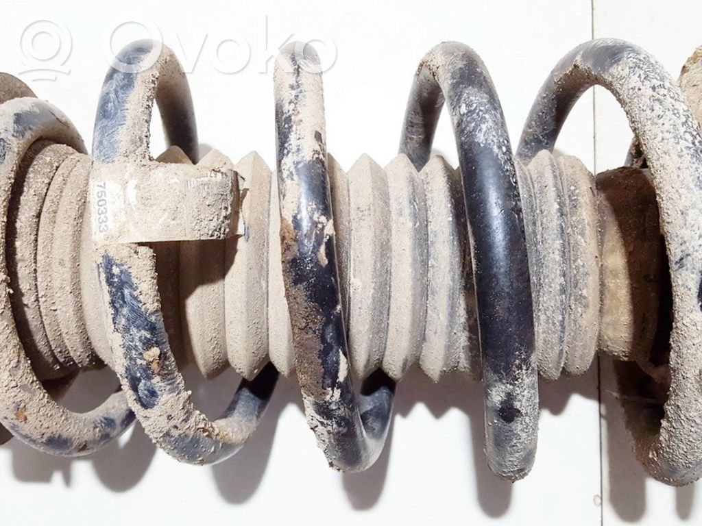 Front coil spring   750333,750333