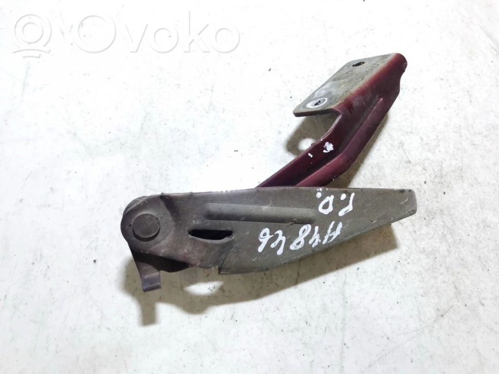 Balamale capotă   XS4116800AE,XS4116800AE,XS4116800AE,XS4116800AE