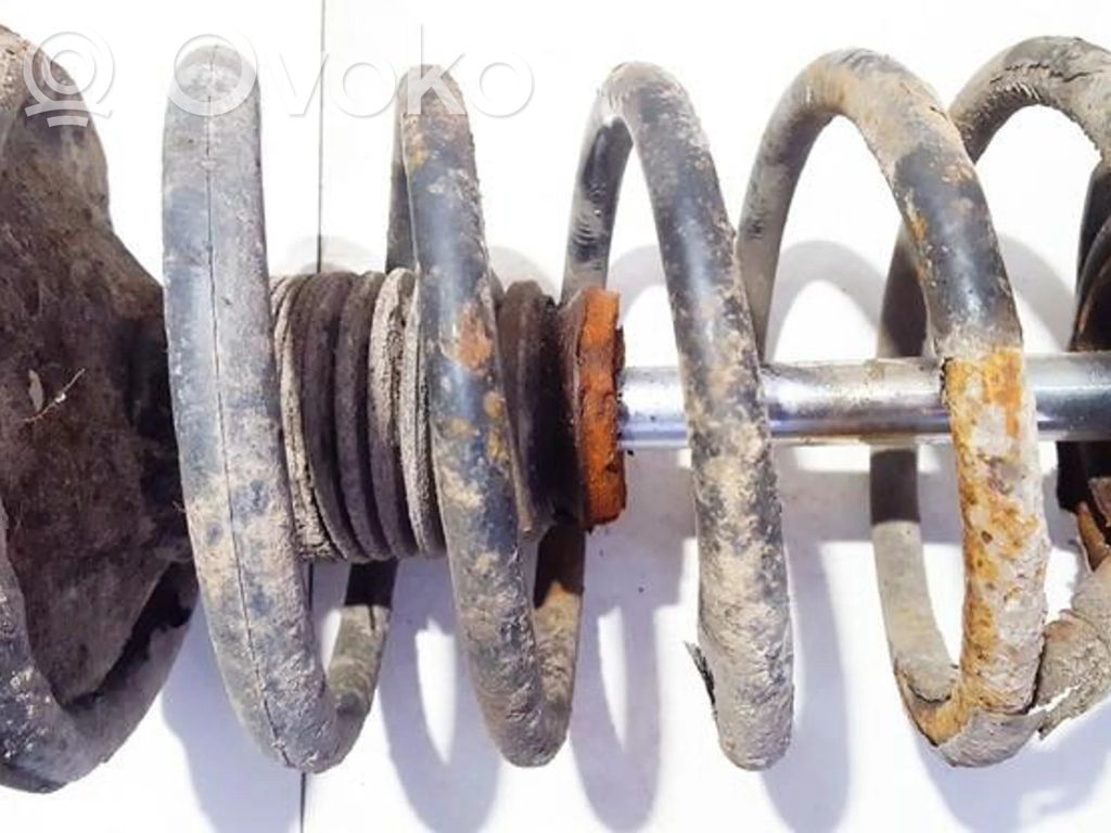 Front coil spring