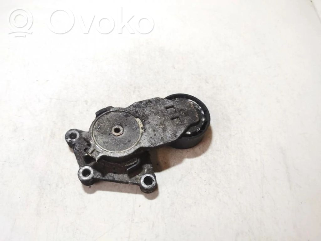 Diržo įtempėjas   TF049F,TF049F