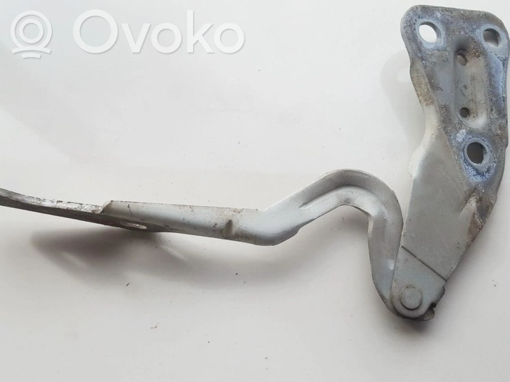 Cerniere del vano motore/cofano   90521520,90521520