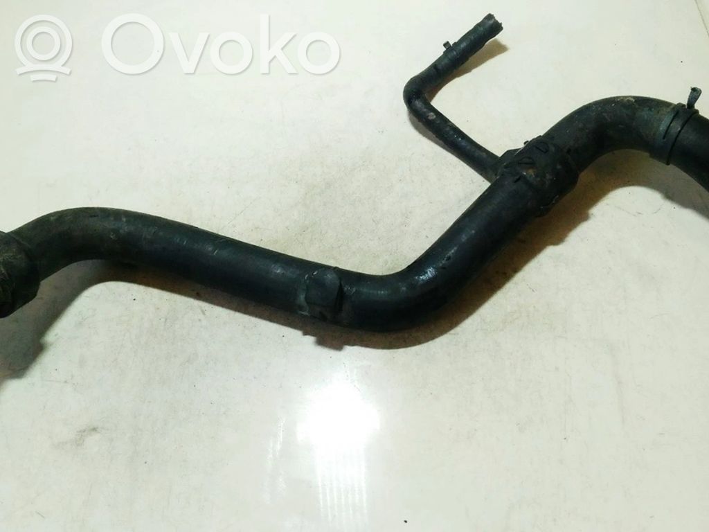 Volkswagen PASSAT B5 Przewód / Wąż chłodnicy 