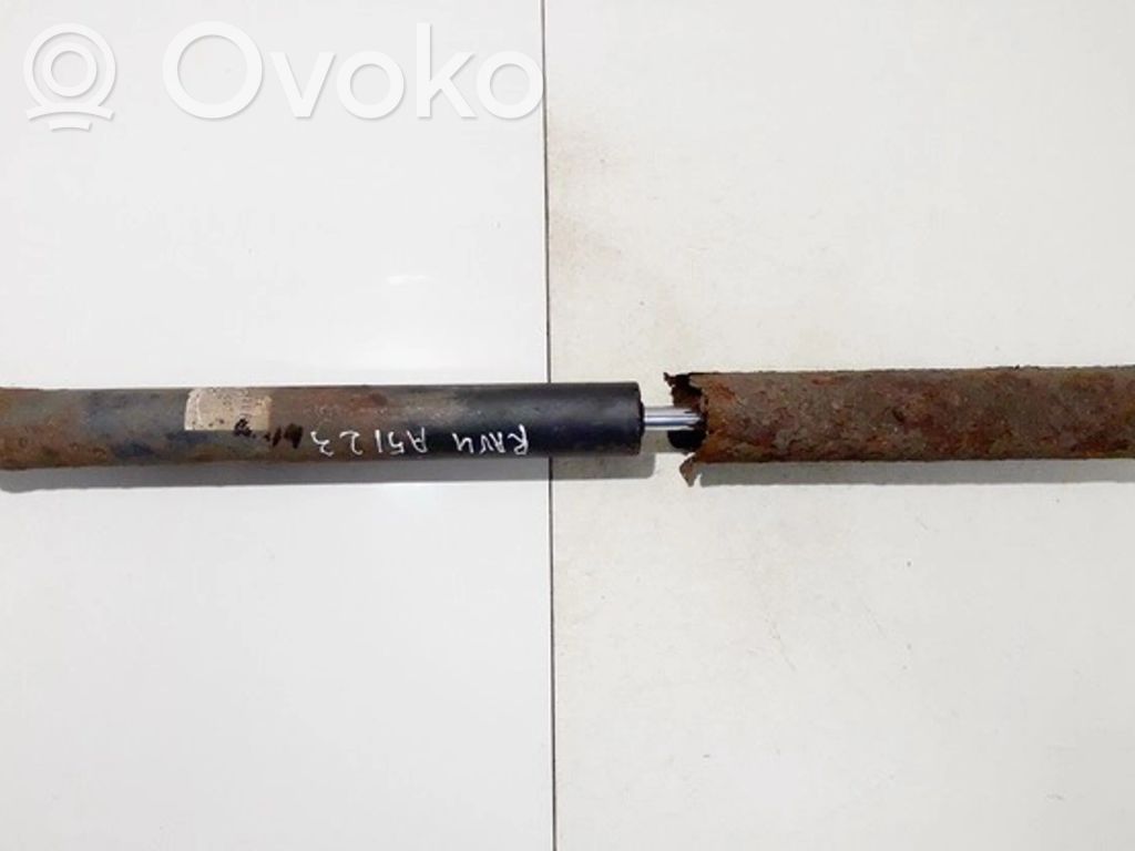 Toyota RAV 4 (XA20) Amortizor spate