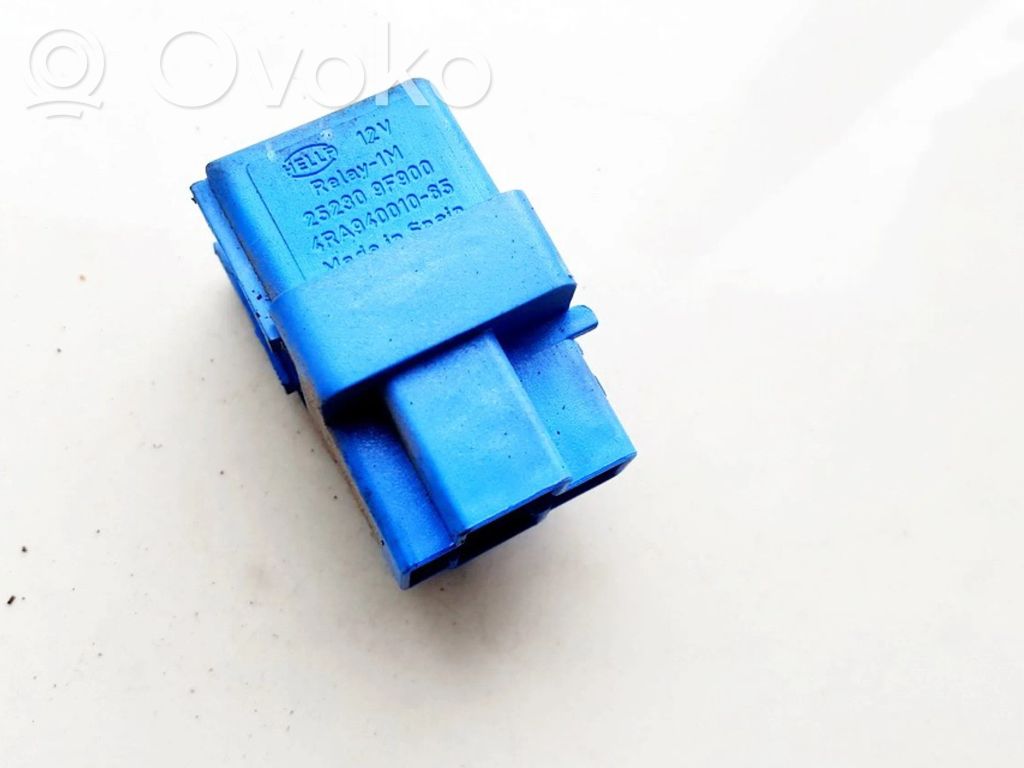 Altri relè   252309F900,4RA94001065,252309F900,4RA94001065