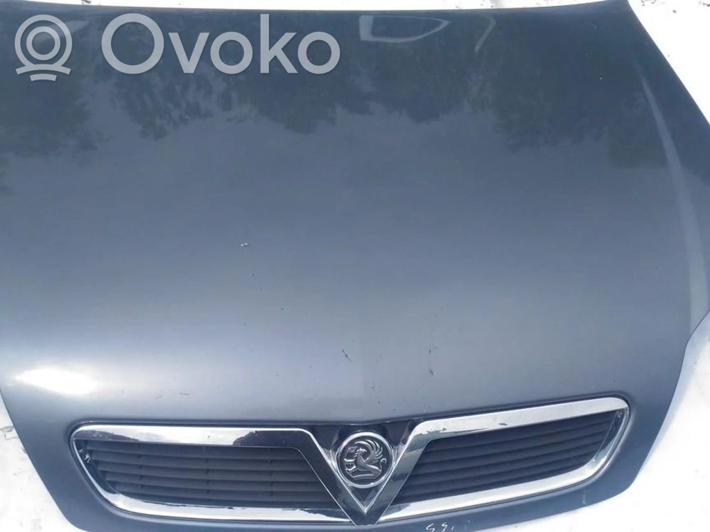Motorhaube   PILKA,PILKA