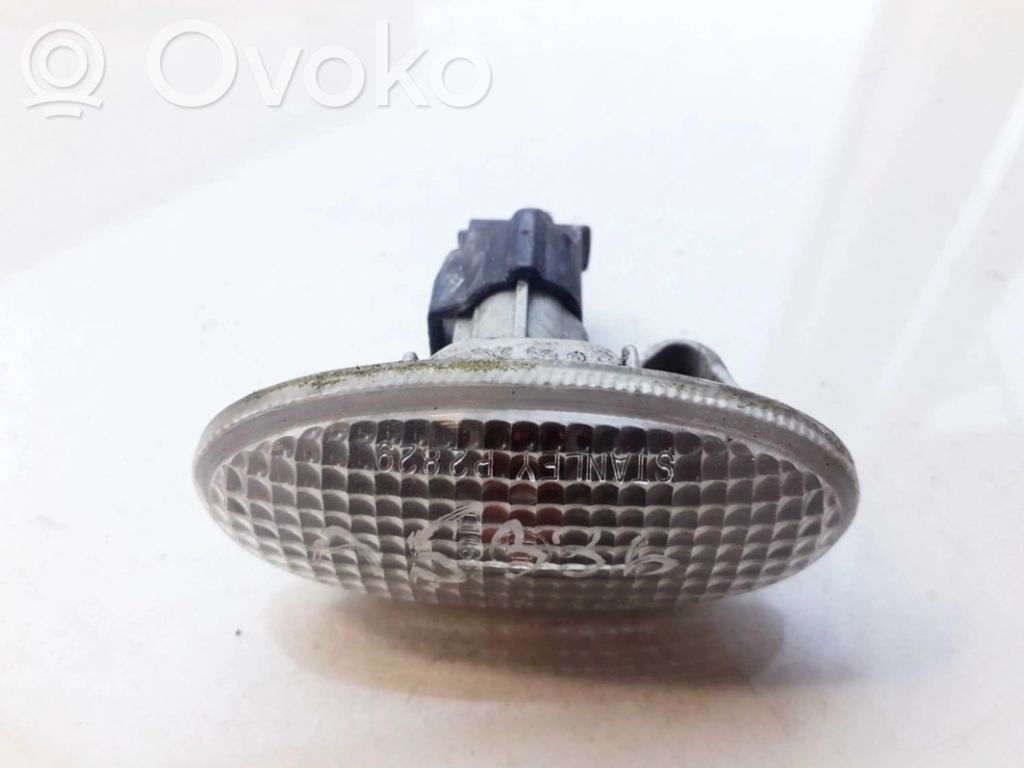 Seitenblinker   P2829,P2829