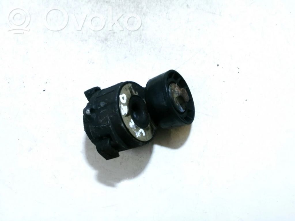 Citroen Berlingo Lichtmaschine Riemenspanner Spannrolle Keilrippenriemen Keilriemen 