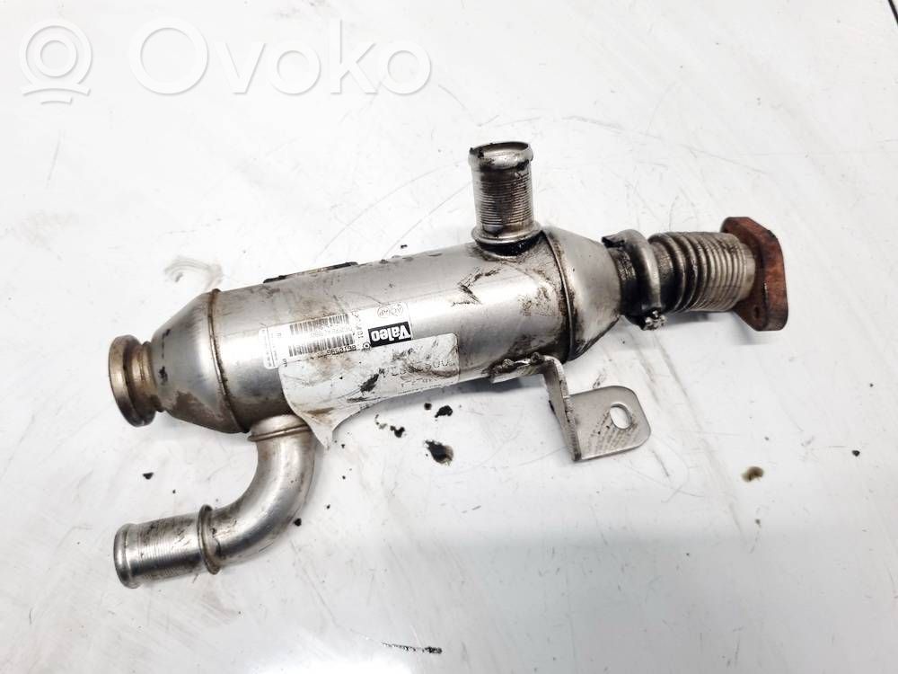 Citroen Xsara Valvola di raffreddamento EGR
