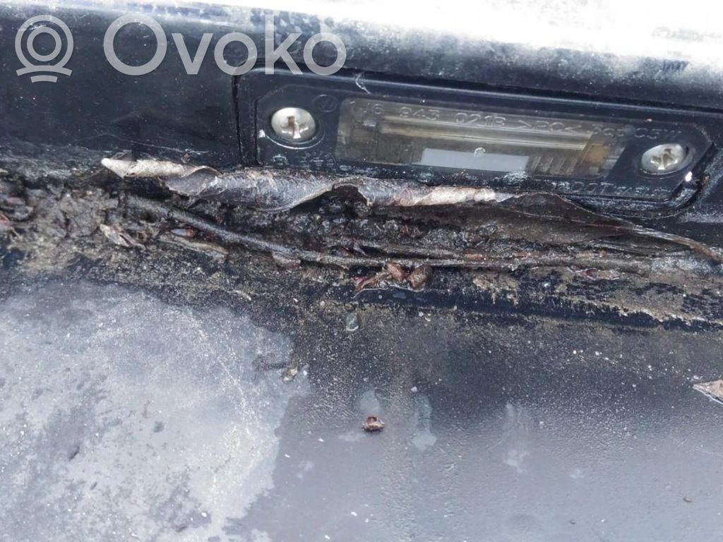Volkswagen Golf V Lampa oświetlenia tylnej tablicy rejestracyjnej 