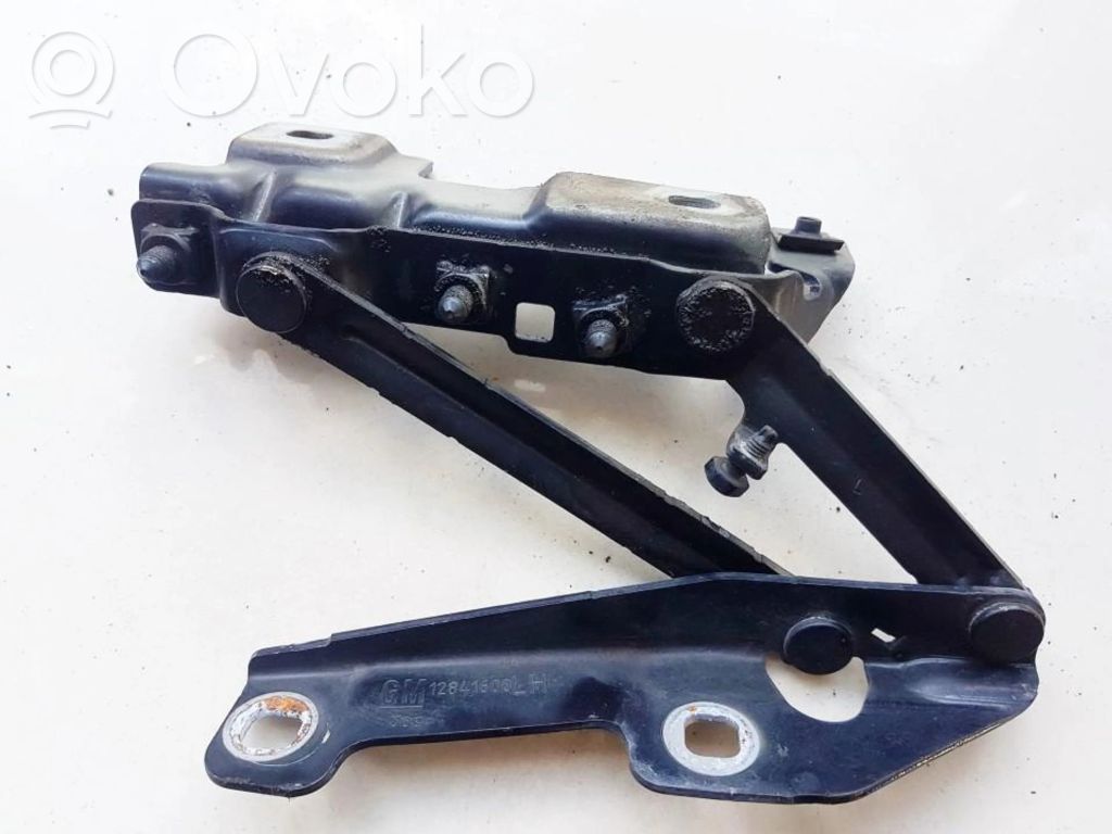 Opel Insignia A Cerniere del vano motore/cofano