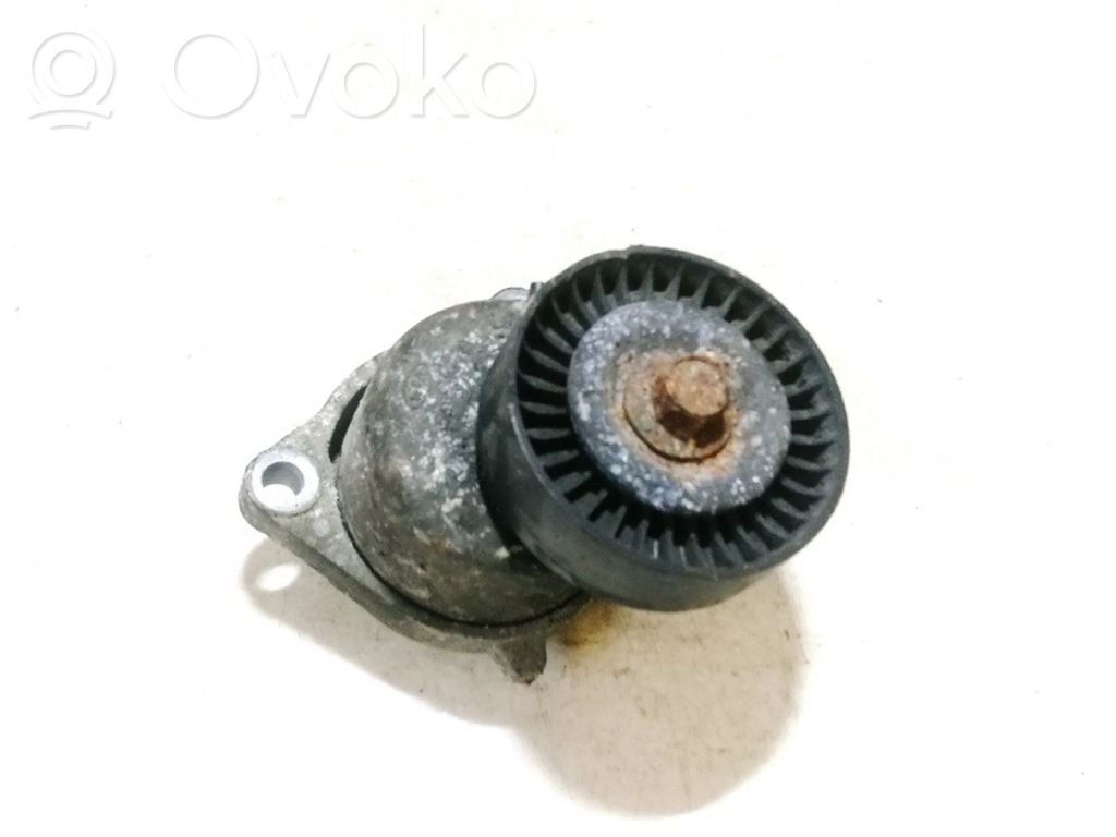 KIA Carnival Napinacz paska alternatora 