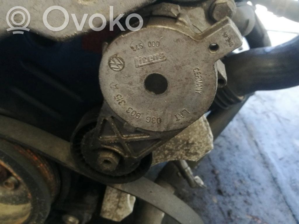 Volkswagen PASSAT B6 Napinacz paska alternatora 