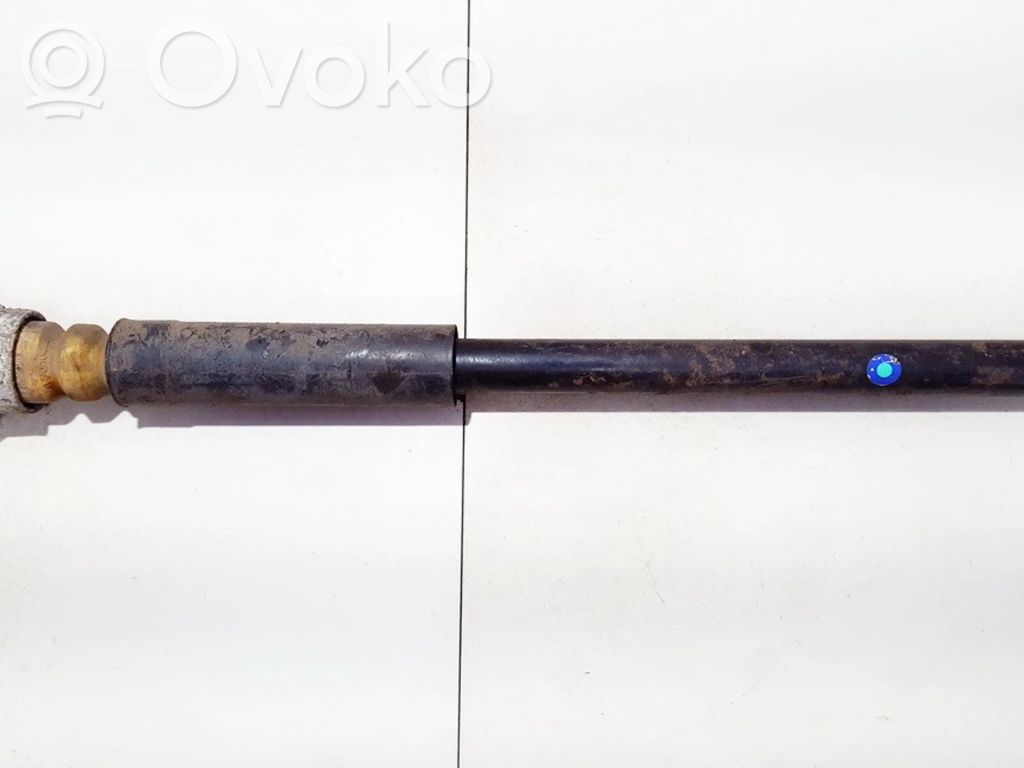 Stoßdämpfer hinten