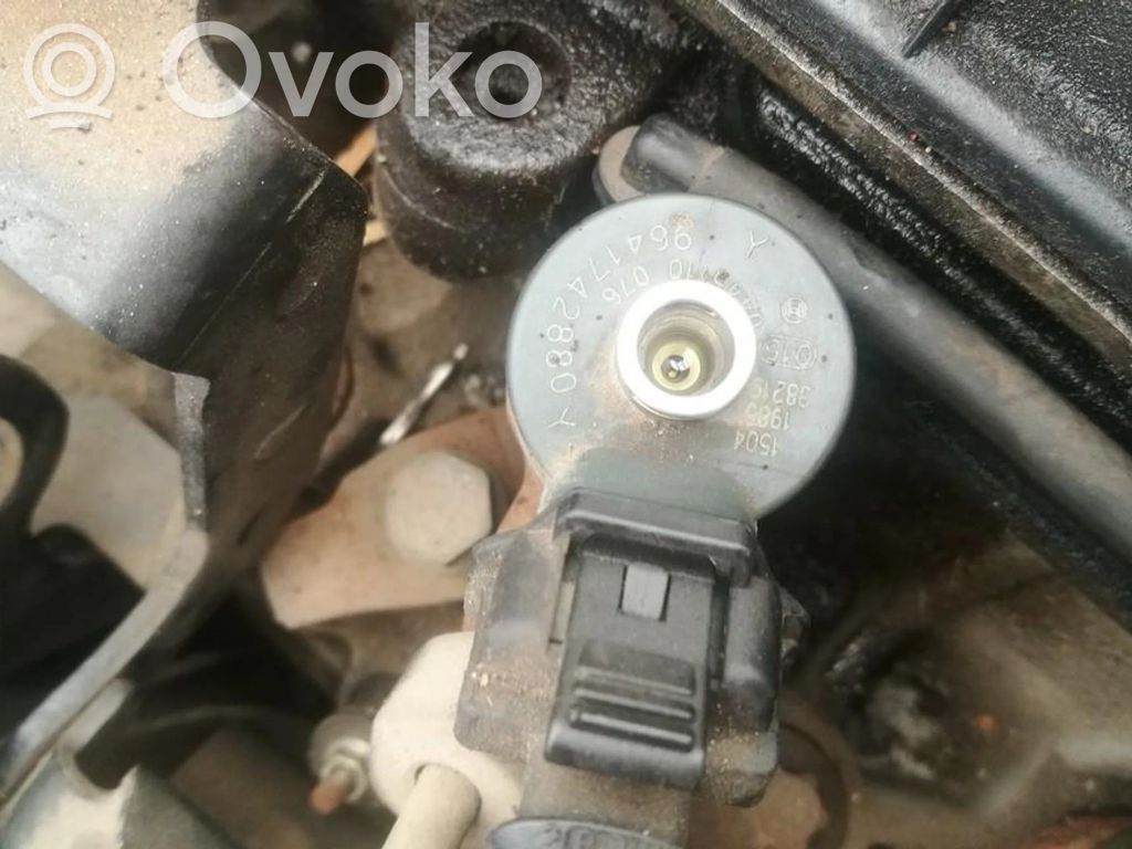 Inyector de combustible   0445110076,9641742880Y,0445110076,9641742880Y