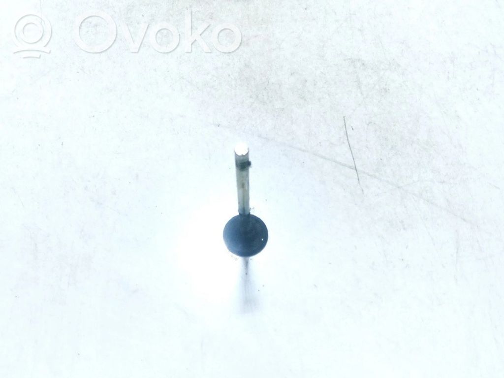 Valvola