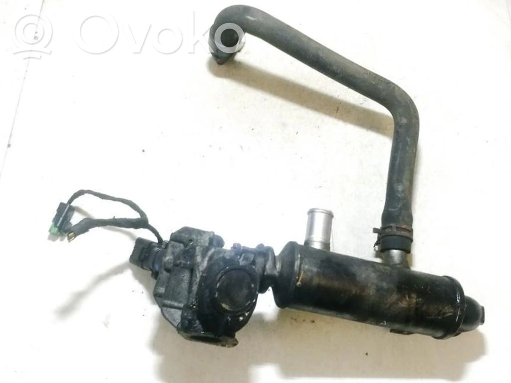Peugeot 407 Valvola di raffreddamento EGR