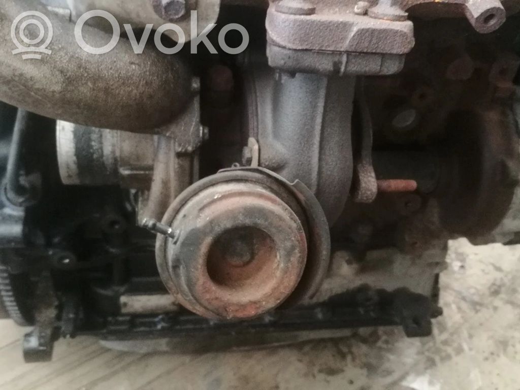 Turbo   7180898,276239,276239,7180898