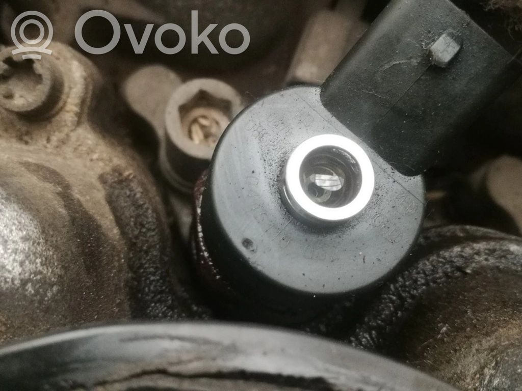 Inyector de combustible   0445110002,0445110002