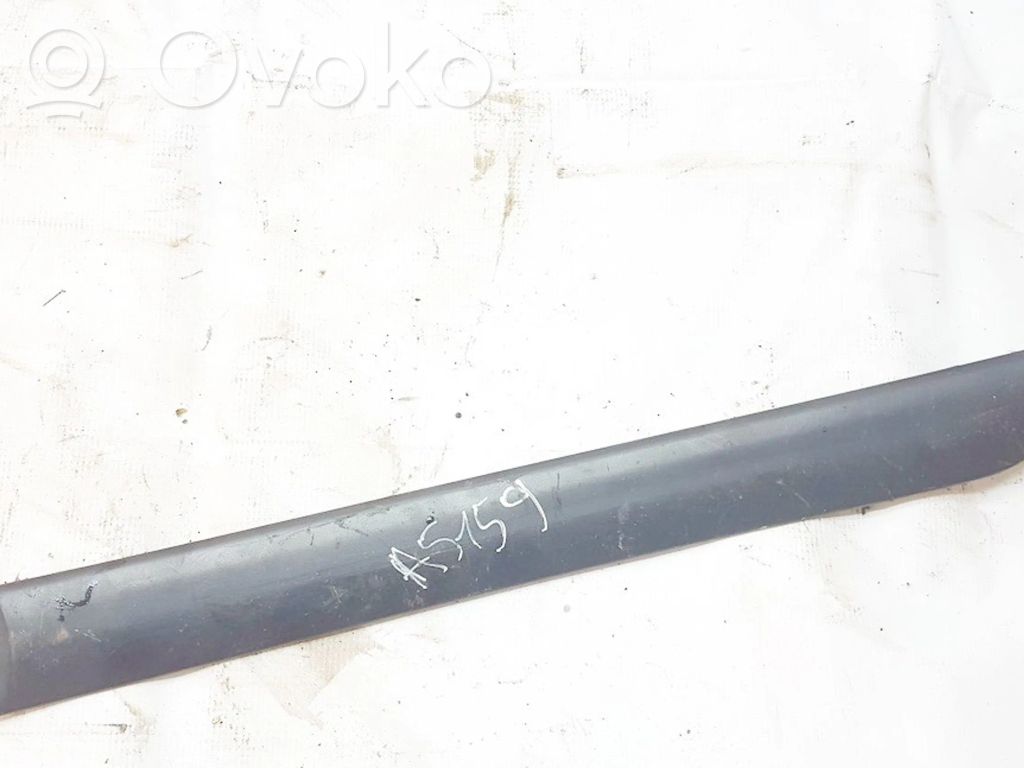 Ford Focus Mască ușă spate (turnată) 