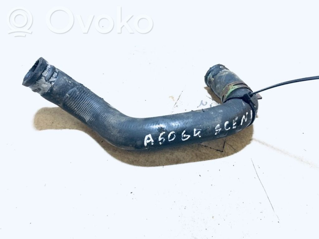 Nissan Primera Conductă/furtun lichid de răcire motor 