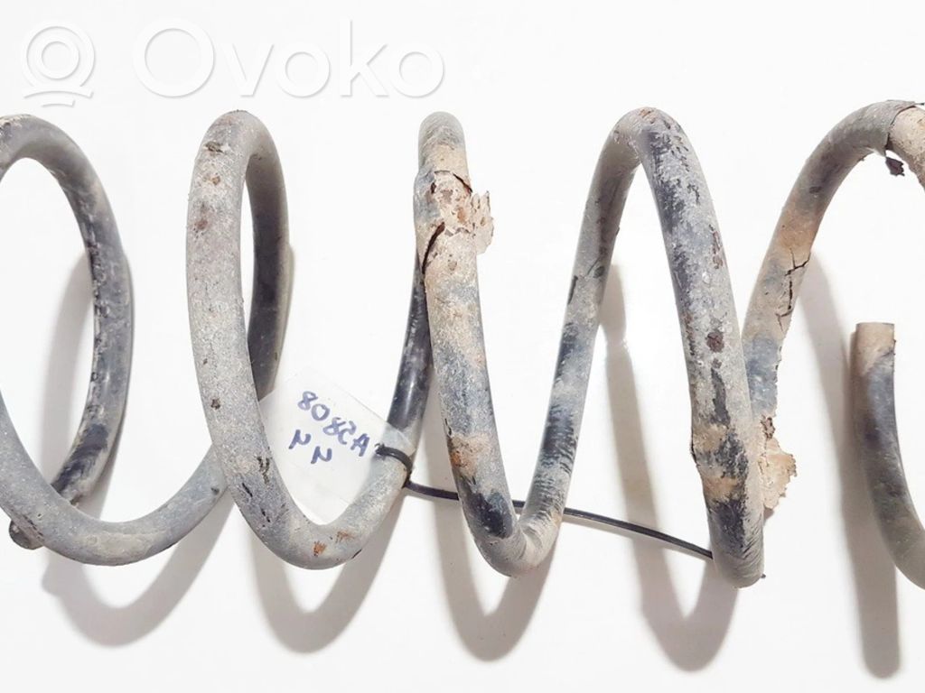 Rear coil spring