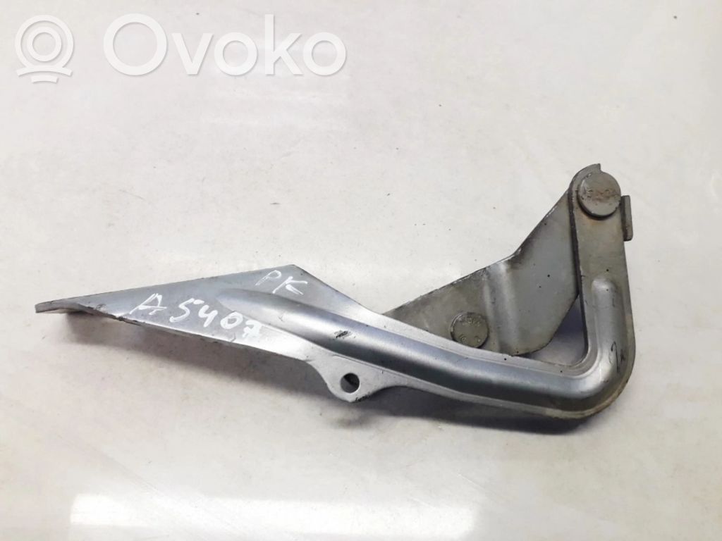 Bisagras del capó/tapa del motor