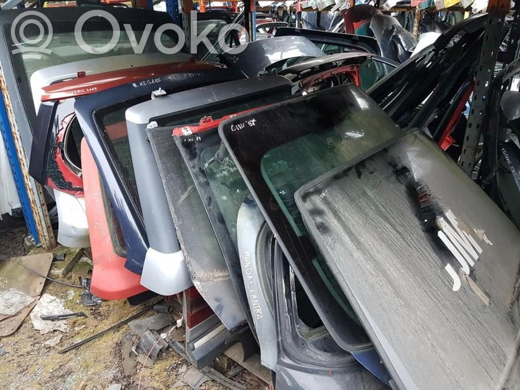 Tailgate/trunk/boot lid   RAUDONAS,RAUDONAS