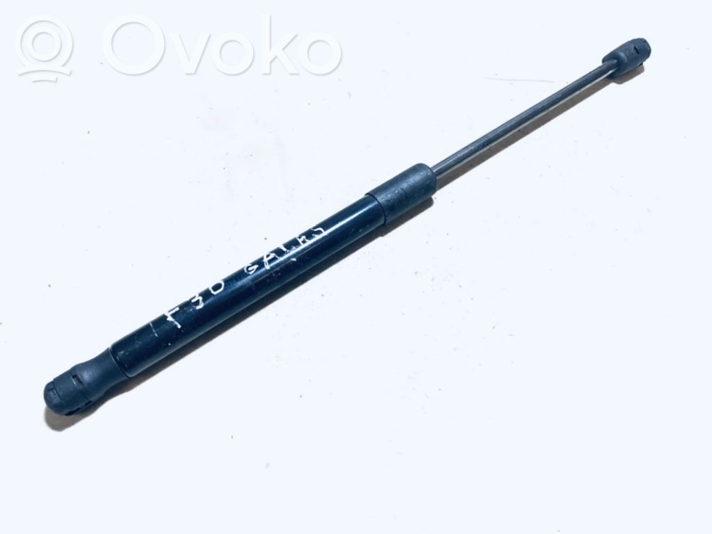BMW 3 F30 F35 F31 Ammortizzatore portellone posteriore/bagagliaio